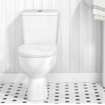 Toilet Pan, Cistern & Seat
